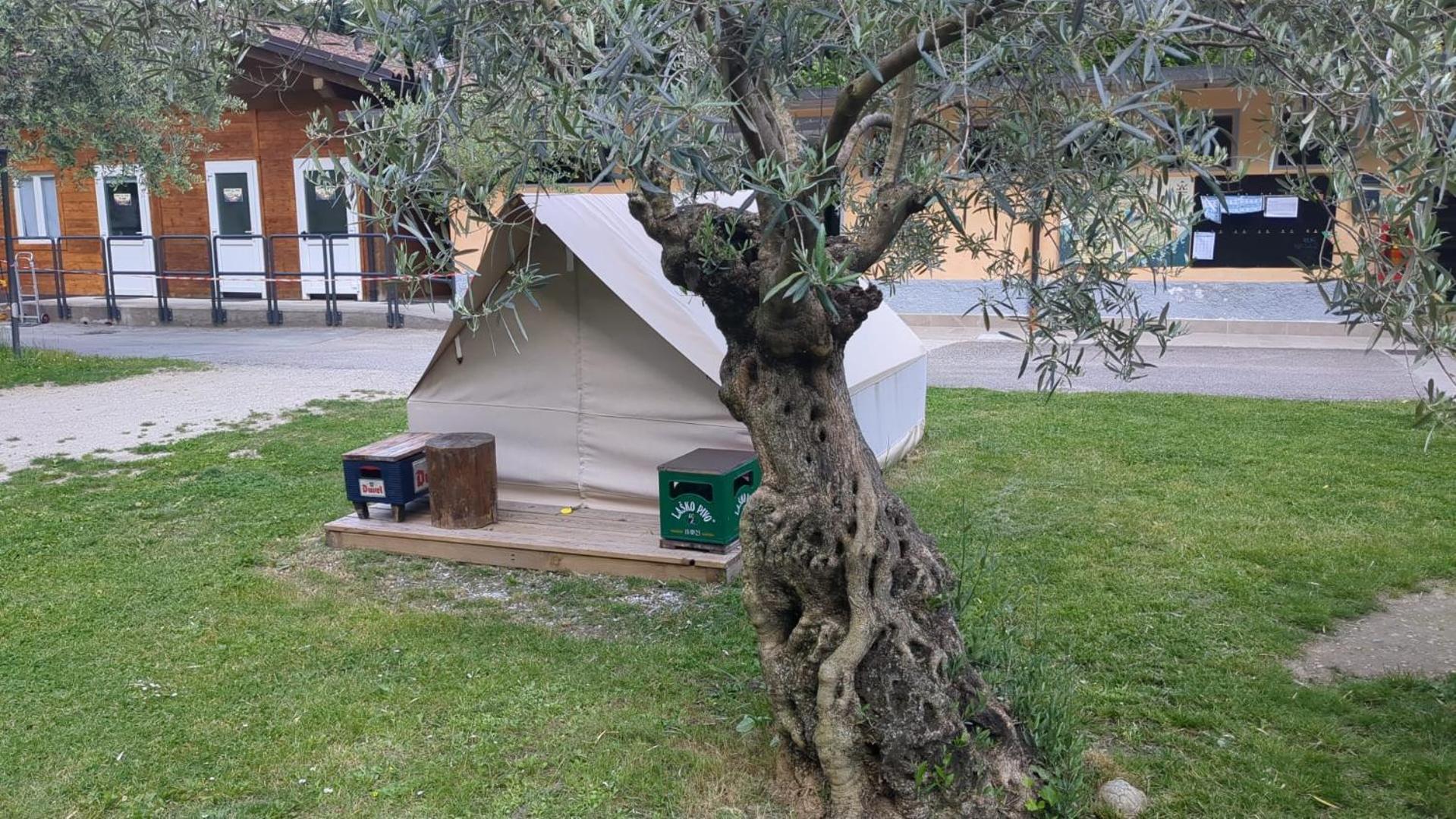 Camping Daino Parque de Campismo *